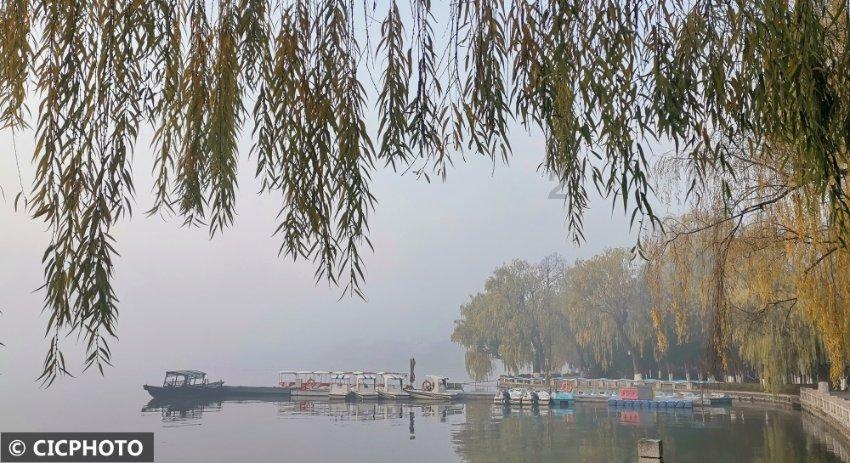 爱丽丝和闺蜜